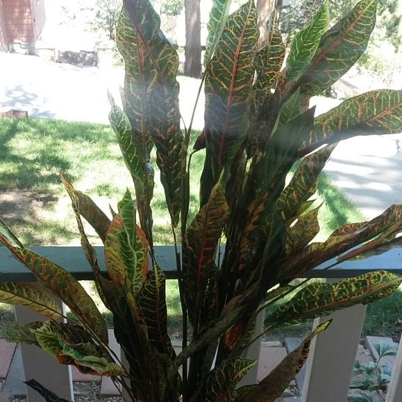 Realistic plant is maintenance free - Picture 4 of 5